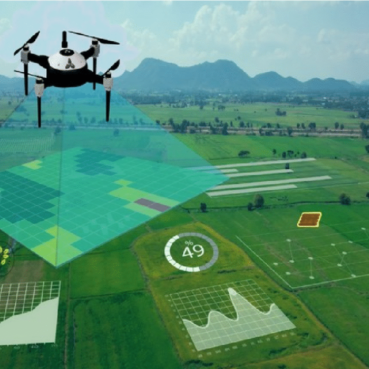 drone-survey-mapping-service